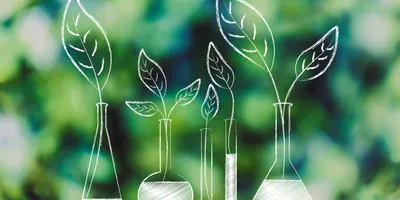 lab bottles with leaves growing out of them instead of chemical solutions, concept of green economy innovation