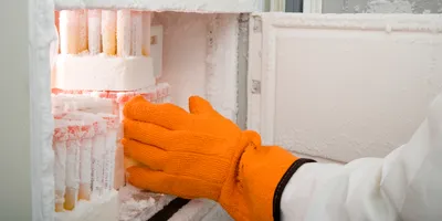Gloved hand reaching for samples within a laboratory freezer.