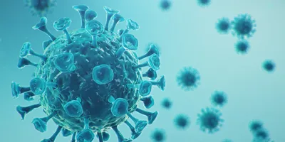 Computer image of virus