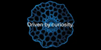 microscopic image on a black background