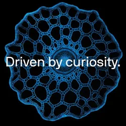 microscopic image on a black background
