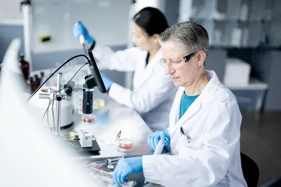 Gloved scientist inspects petri dishes while colleague pipettes—lab scene emphasizes traceability and data integrity.
