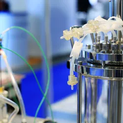 Stainless steel bioreactor with connected tubing and sensors in a biotechnology lab.