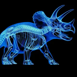 Digital X-ray style illustration of a triceratops dinosaur showing detailed skeletal and internal structures against a black background.