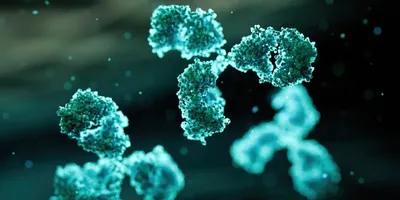 Immunoglobulin G (IgG) - 3d rendered image