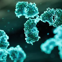 Immunoglobulin G (IgG) - 3d rendered image