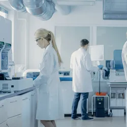 Scientists working in the lab
