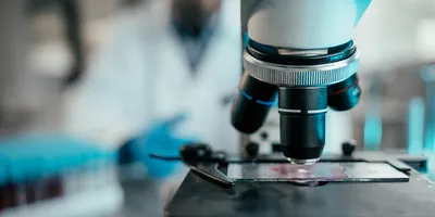 microscope with slide