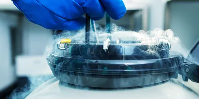 Gloved hand retrieving vials from liquid nitrogen cryogenic storage for cell preservation.