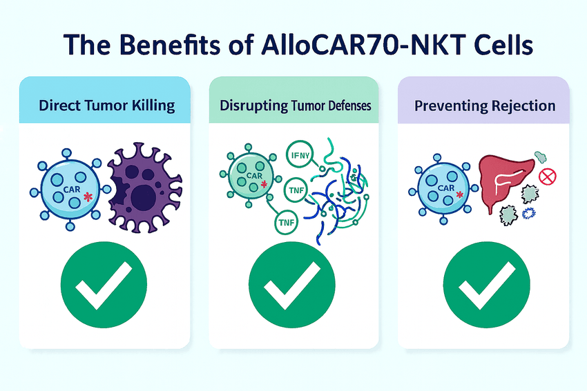Infographic of the benefits of AlloCAR70-NKT Cells