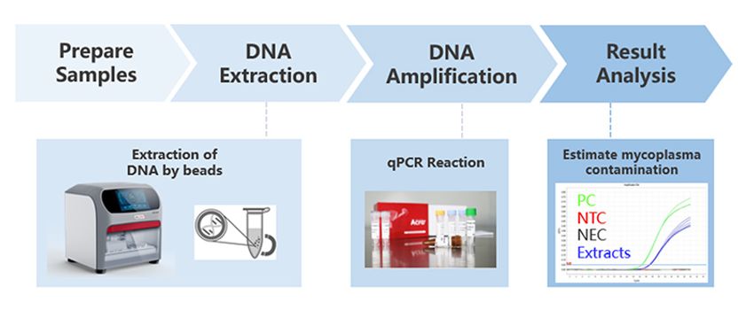 Rapid release testing workflow