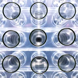 Close up of a group of empty glass test tubes standing in a laboratory rack