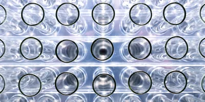 Close up of a group of empty glass test tubes standing in a laboratory rack