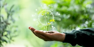 Hand holding a small plant with coins symbolizing sustainable research funding.