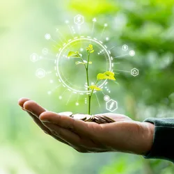 Hand holding a small plant with coins symbolizing sustainable research funding.