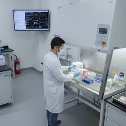 Modern laboratory with researcher in PPE working at a fume hood, showcasing advanced chemical segregation and biosafety protocols for scientific integrity.