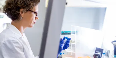Scientist using a Biological Safety Cabinet for research