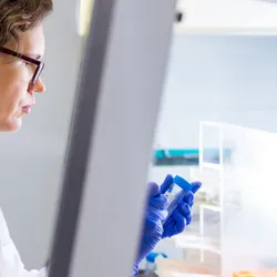 Scientist using a Biological Safety Cabinet for research