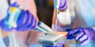 Scientists at work in a laboratory holding a pipette while filling test tubes.