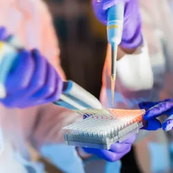 Scientists at work in a laboratory holding a pipette while filling test tubes.