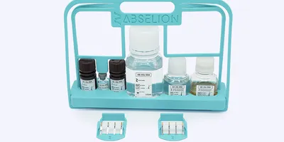 Abselion protein quantification kit.
