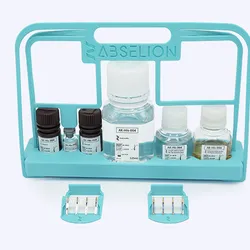 Abselion protein quantification kit.