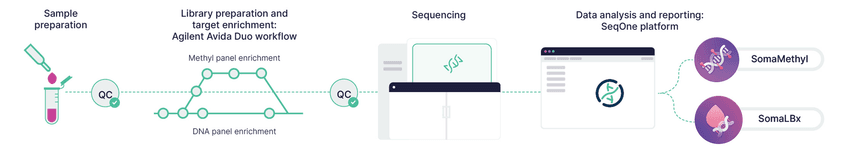 End-to-end workflow from liquid biopsy sample to data analysis.