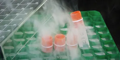 Cryovials with orange caps in a green rack surrounded by vapor, illustrating cold-storage sample handling and durable labeling in modern laboratory workflows.