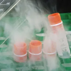 Cryovials with orange caps in a green rack surrounded by vapor, illustrating cold-storage sample handling and durable labeling in modern laboratory workflows.