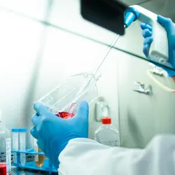 Scientist working inside of a biosafety cabinet