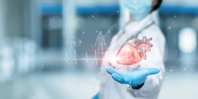 Doctor holding a digital heart model, symbolizing metabolic heart failure research