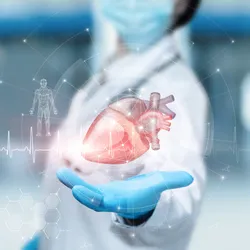 Doctor holding a digital heart model, symbolizing metabolic heart failure research