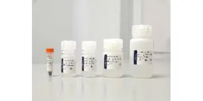 exsig® Mag RapidBead Pro Extraction Kit