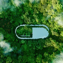 Aerial view of lush green forest and lake symbolizing lab sustainability efforts