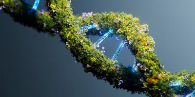 A green, floral representation of DNA, symbolizing sustainable clinical trials.