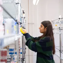 Participant in the lab supply reuse program at Caltech.