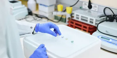 Lab technician handling samples in ice for safe transport