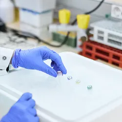 Lab technician handling samples in ice for safe transport