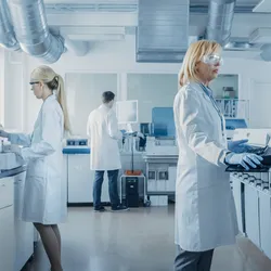 Roles and responsibilities in a lab environment