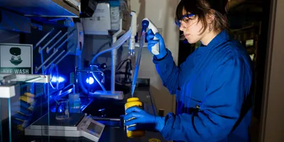 Independent research at Northeastern University's Wet Lab
