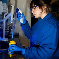 Independent research at Northeastern University's Wet Lab