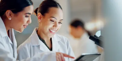 Teamwork in a laboratory setting focused on support