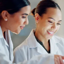 Teamwork in a laboratory setting focused on support