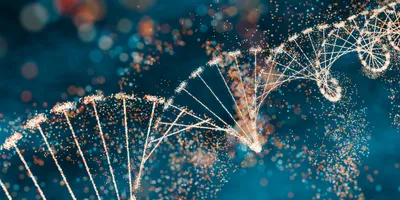 Illustration of DNA strands representing human genomics research