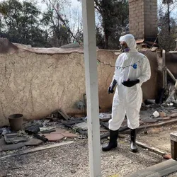 Emergency response team evaluating post-wildfire environment