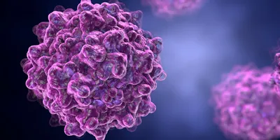 Purple adenovirus representation