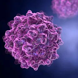 Purple adenovirus representation