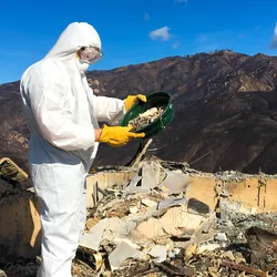 Soil sampling after wildfire for lead contamination analysis