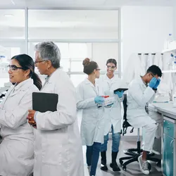 Group of four scientists working in the lab with the manager checking in and assisting