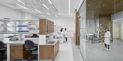 Low-carbon lab renovations start with early collaboration between lab managers and design teams to align safety, performance, and energy goals. 